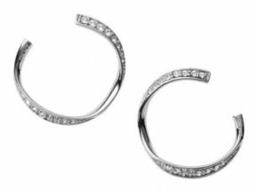 DKNY NJ1850040 earrings